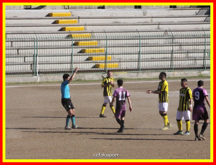 190310 Cephal_Torrenov 101_tn.jpg